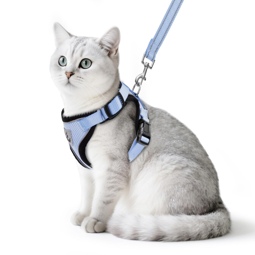 PUPTECK cat harness sky blue front view highlights lightweight breathable mesh for comfortable outdoor walks