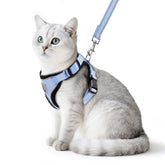 PUPTECK cat harness sky blue front view highlights lightweight breathable mesh for comfortable outdoor walks
