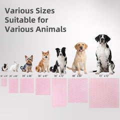 PUPTECK soft knitting top layer enhances pet comfort during use.