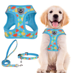 PUPTECK adjustable harness front view for comfortable daily walks.