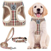 PUPTECK adjustable dog harness step-in S size shown for easy on-off use during walks.