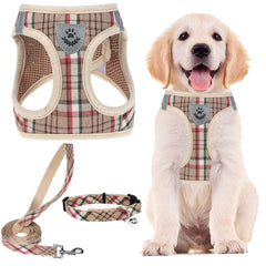 PUPTECK adjustable dog harness step-in S size shown for easy on-off use during walks.