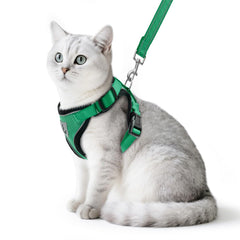 PUPTECK arnés gato malla ligera para paseos cómodos y seguros