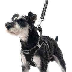 PUPTECK dog harness step-in design with soft mesh for comfortable daily wear.