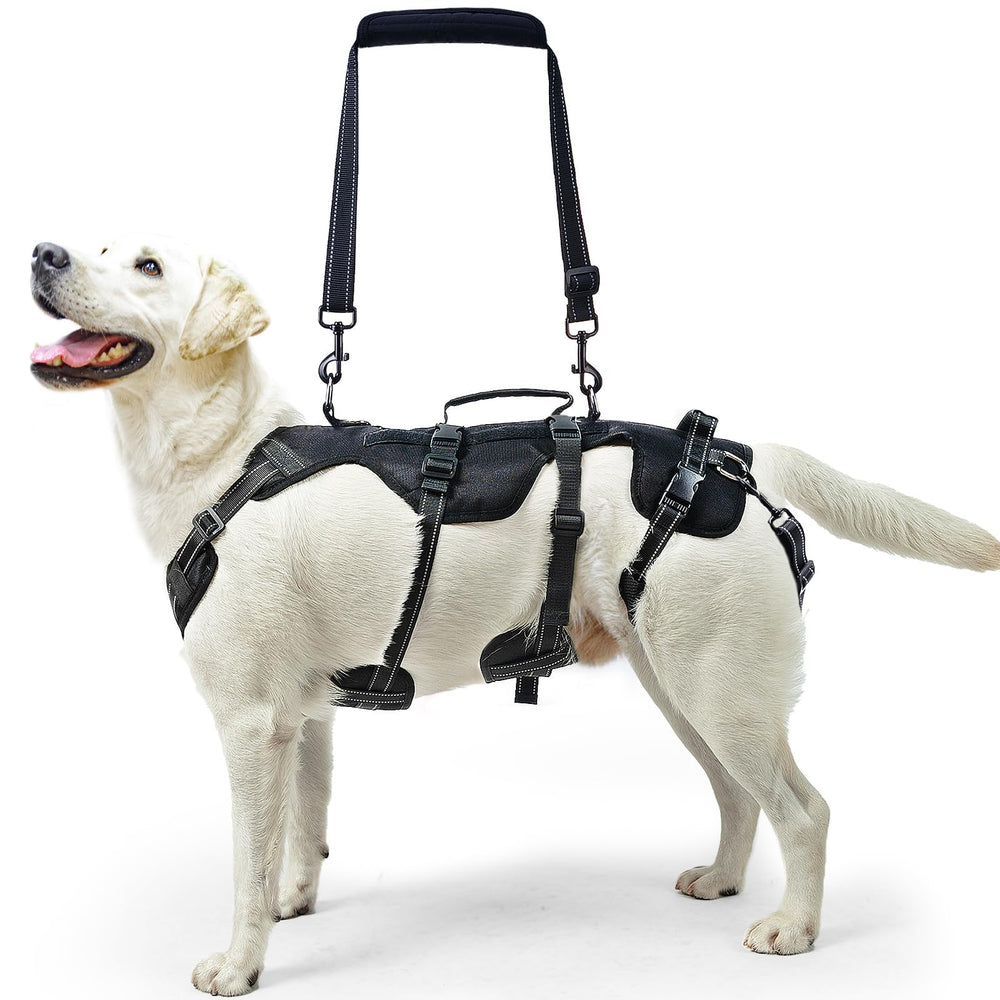 PUPTECK dog lift harness back view demonstrates durable structure for stairs and transfers.
