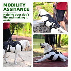 PUPTECK dog lift harness rear-leg-straps detail highlights hind-leg support feature.