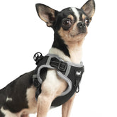 PUPTECK arnés sin tirones ajustable para paseos seguros y cómodos