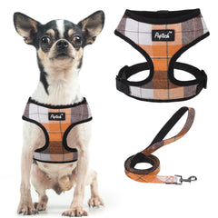 PUPTECK harness orange front view emphasizes lightweight breathable mesh for all-day wear.