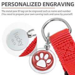 PUPTECK ID Tag with DIY engraving enables personalized dog identification on the front paw design.