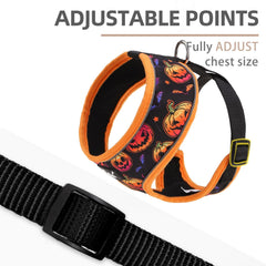 PUPTECK leash with metal D-ring attachment enables reliable control during outings.