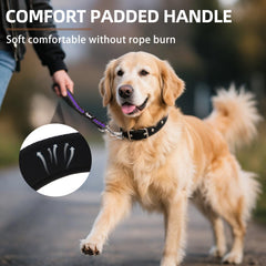PUPTECK night walk with reflective feature for better visibility.