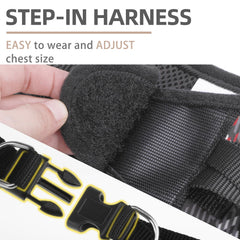 Night walk scene highlighting PUPTECK reflective strips for visibility