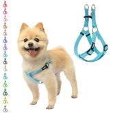 PUPTECK No Pull harness sky blue XS front view for easy daily walks.