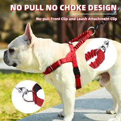 PUPTECK No Pull Harness back view highlights dual D-rings for versatile daily walks
