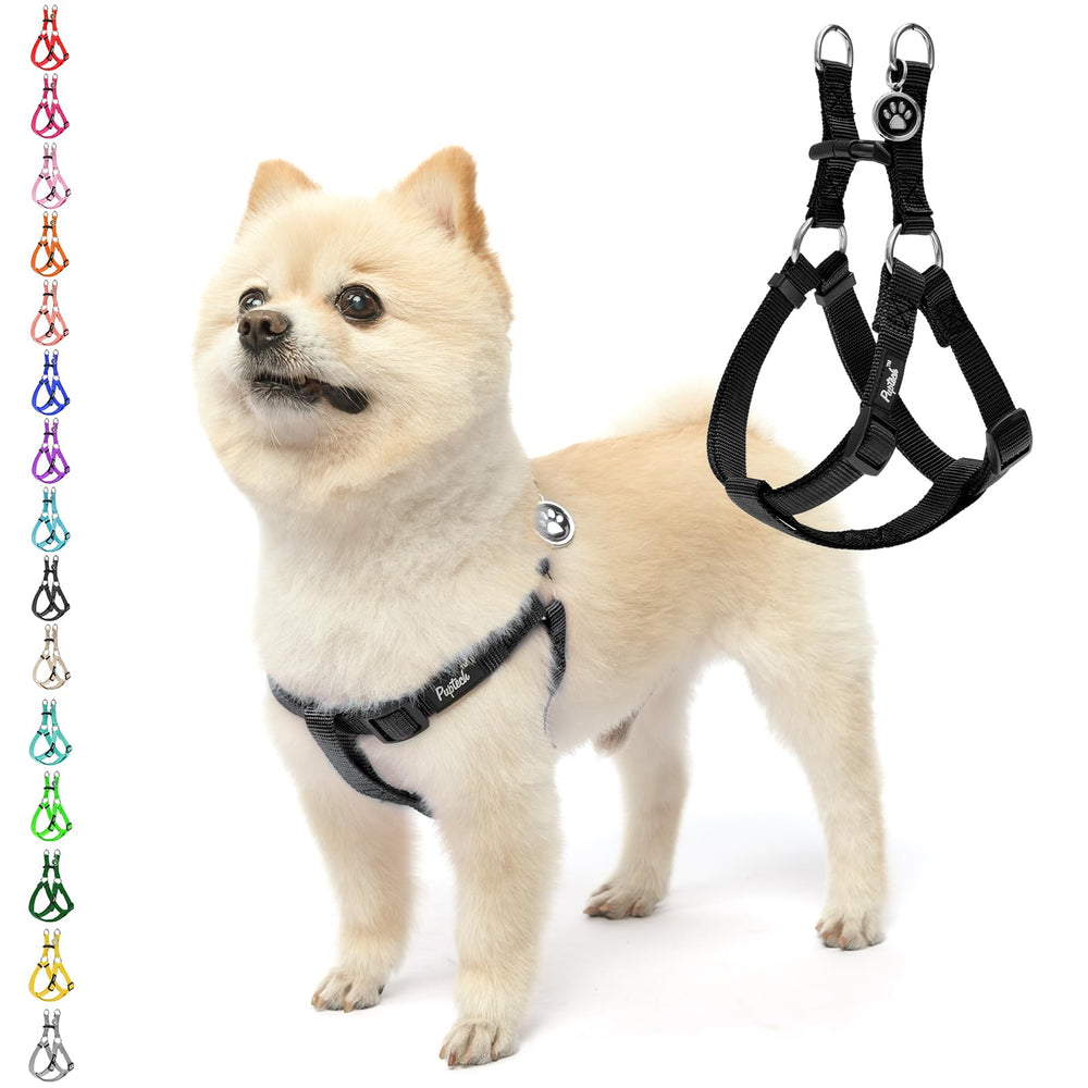 PUPTECK no-pull harness chest-fit view for controlled walking