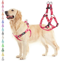 PUPTECK no-pull harness daisy-buckle offers secure, comfortable daily walks