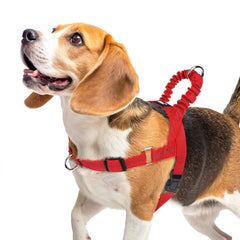 PUPTECK No Pull Harness front view shows balanced pressure for smoother, more controlled walks