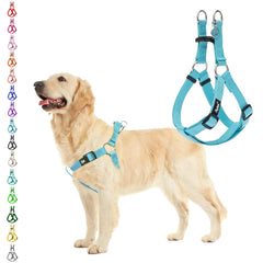 PUPTECK No Pull Harness front view demonstrates control-friendly design for comfortable daily walks.
