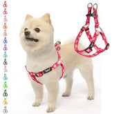 PUPTECK No Pull Harness front view highlights easy step-in design for quick on/off.