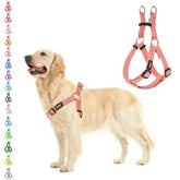 PUPTECK No Pull Harness lightcoral front view helps control walking without neck strain.