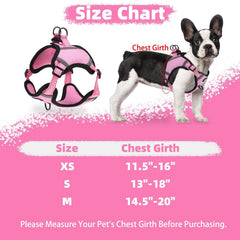 PUPTECK no pull harness pink M back-clip setup for versatile training and casual strolls.