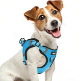 PUPTECK no-pull harness small front view improves walk control.