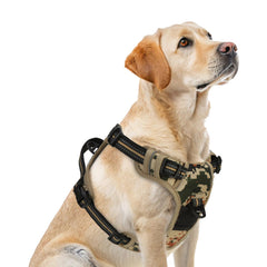 PUPTECK no-pull harness front D-ring for controlled walks and front-leading training