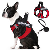 PUPTECK service dog harness on a small dog with soft mesh for comfortable all-day wear.