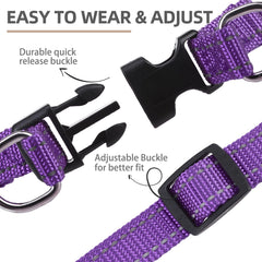 PUPTECK step-in harness being buckled for fast on/off.