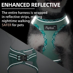 PUPTECK triple-security D-rings and quick-release buckles improve control and peace of mind