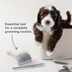 Pupwell Slicker Brush coat care tool distributes natural oils for a healthy shine.