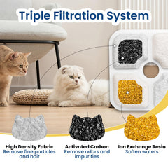 PureSturdy rinse-before-use steps ensure maximum filtration efficiency and safe hydration.
