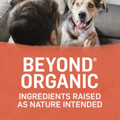 Purina Beyond Organic 12-pack cans for convenient at-home meals