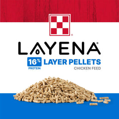 Purina Layena pellets in trough with hen illustrating consistent nutrition access.