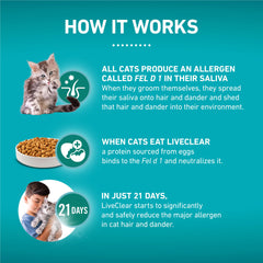 Purina ONE LiveClear kitten bowl feeding scene emphasizes tasty kibble appeal.