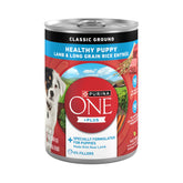Purina ONE Plus pack of 12 cans showcases a convenient wet puppy food option for growing dogs.
