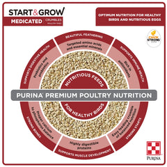 Purina Start & Grow chick-feeding setup with feeder illustrating convenient medicated nutrition.