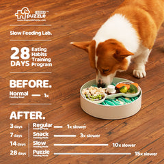Puzzle Feeder anti-slip base keeps bowl steady.