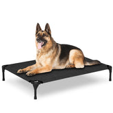 PVY Elevated Dog Bed frame demonstrates rugged outdoor durability for large dogs.