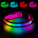 PWOD collar LED rosa con visibilidad nocturna para paseos seguros