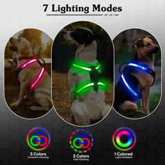 PZRLit LED harness with 7 light modes for customizable night safety