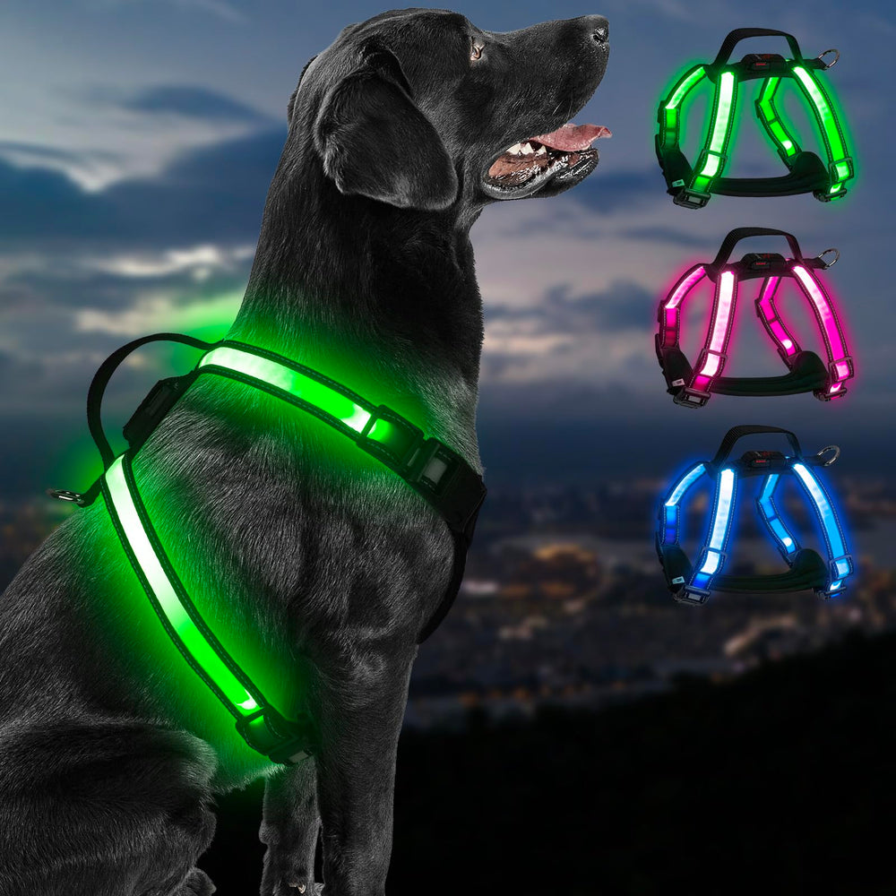PZRLit rechargeable LED dog harness front glow improves nighttime visibility for safer walks.