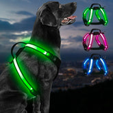 PZRLit rechargeable LED dog harness front glow improves nighttime visibility for safer walks.
