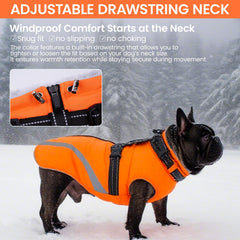 QBLEEV dog coat reflective strips at night for safer low-light walks.