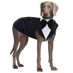 QBLEEV large dog tuxedo with bandana ready for formal photos