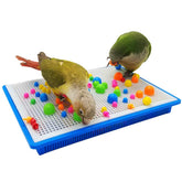 QBLEEV parrot puzzle toy white chassis demonstrates durable enrichment for birds