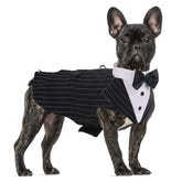 QBLEEV stripe L tuxedo set with bandana for formal events