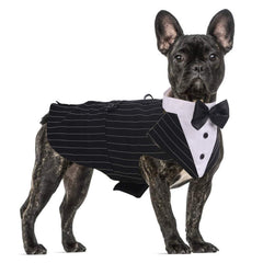 QBLEEV stripe L tuxedo set with bandana for formal events