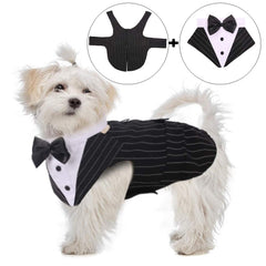 QBLEEV Stripe XL tuxedo back view with D-ring leash attachment for crowds