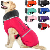 QBLEEV warm dog coat front view showing cozy fleece warmth for winter walks